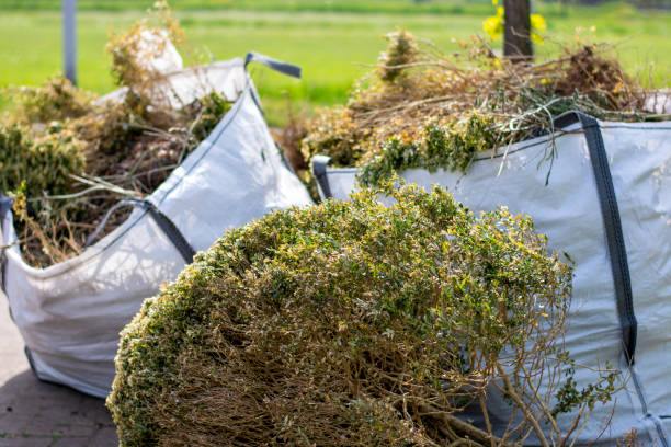 Best Office Junk Removal  in Wayne City, IL